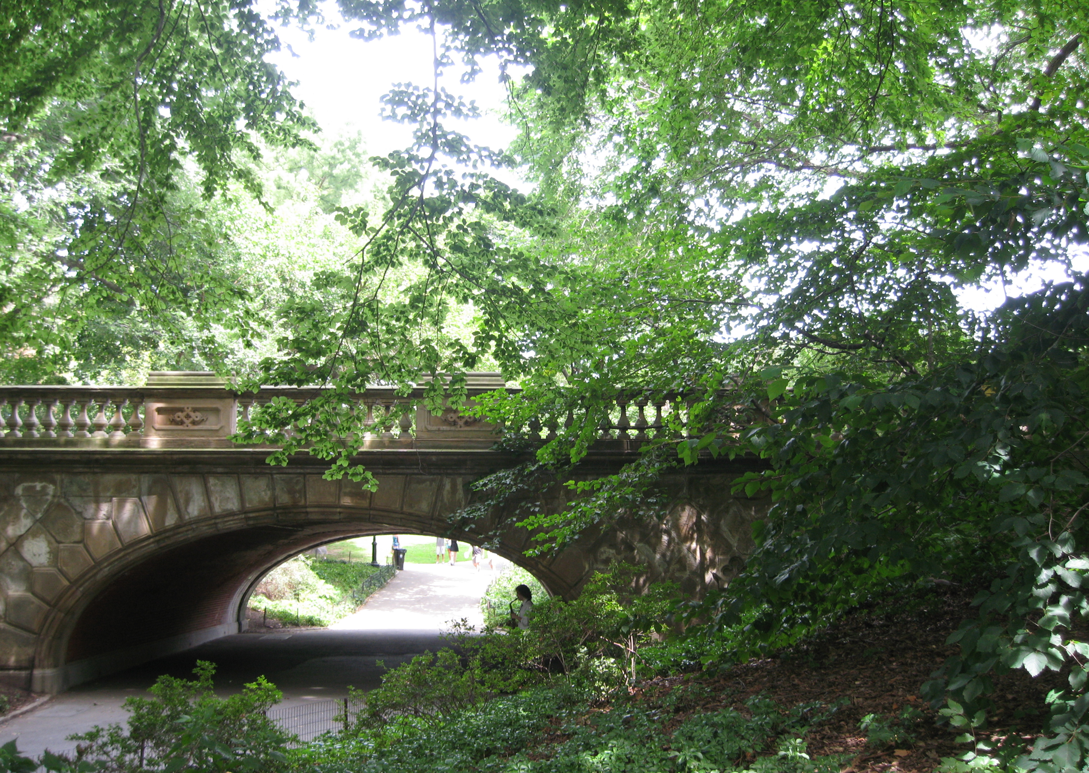 A quiet corner of Central Park, NYC, in summer. Photo by me.