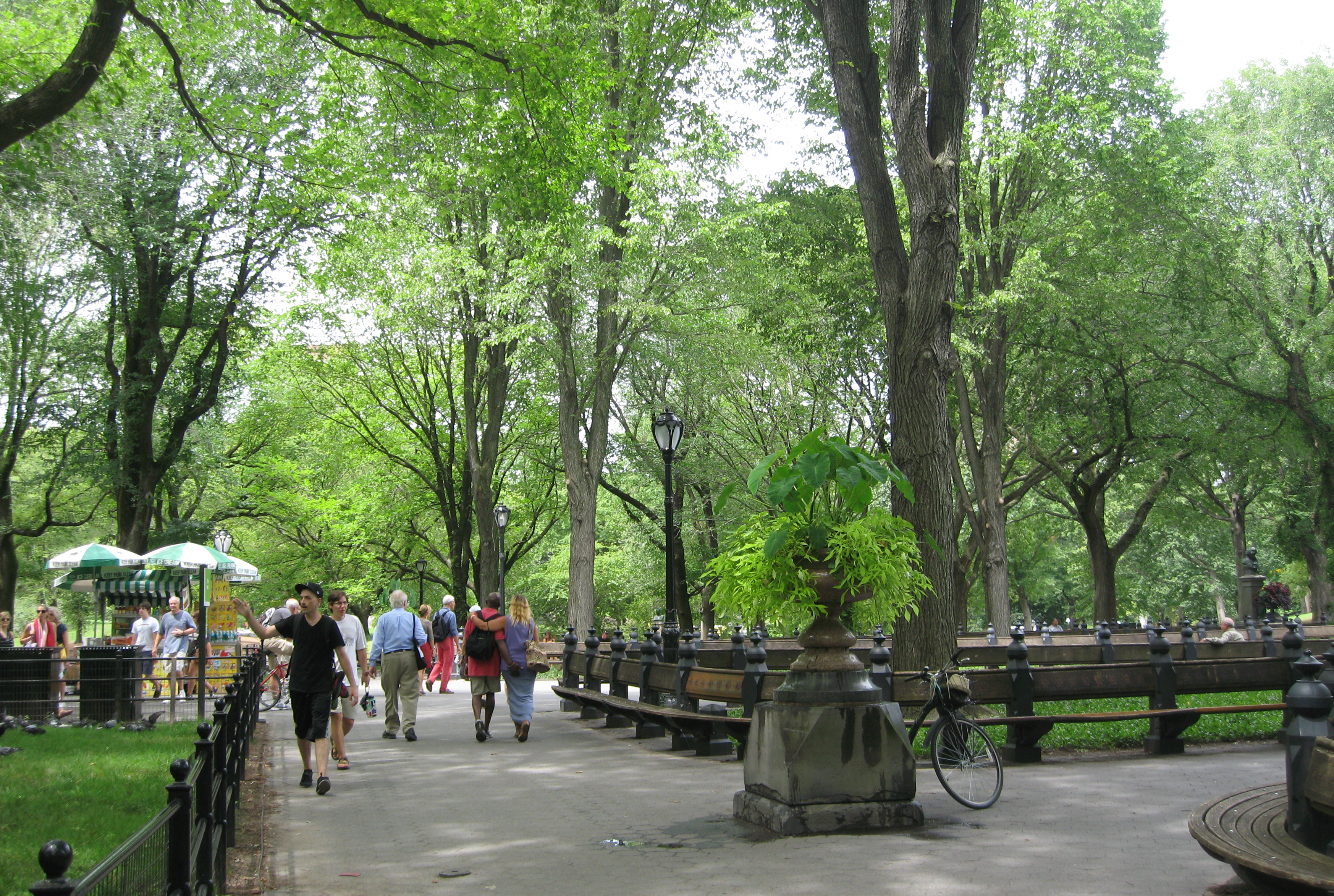 One of Central Parks Broad Avenues. Photo by me