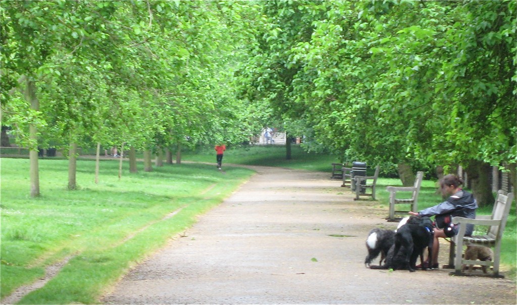 A dog walker takes a break in KG. Photo by me.