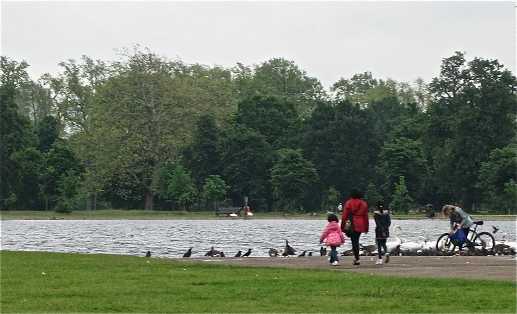 Kensington Gardens'  Round Pond.  The perfect spot on a summer's day. Photo by me.