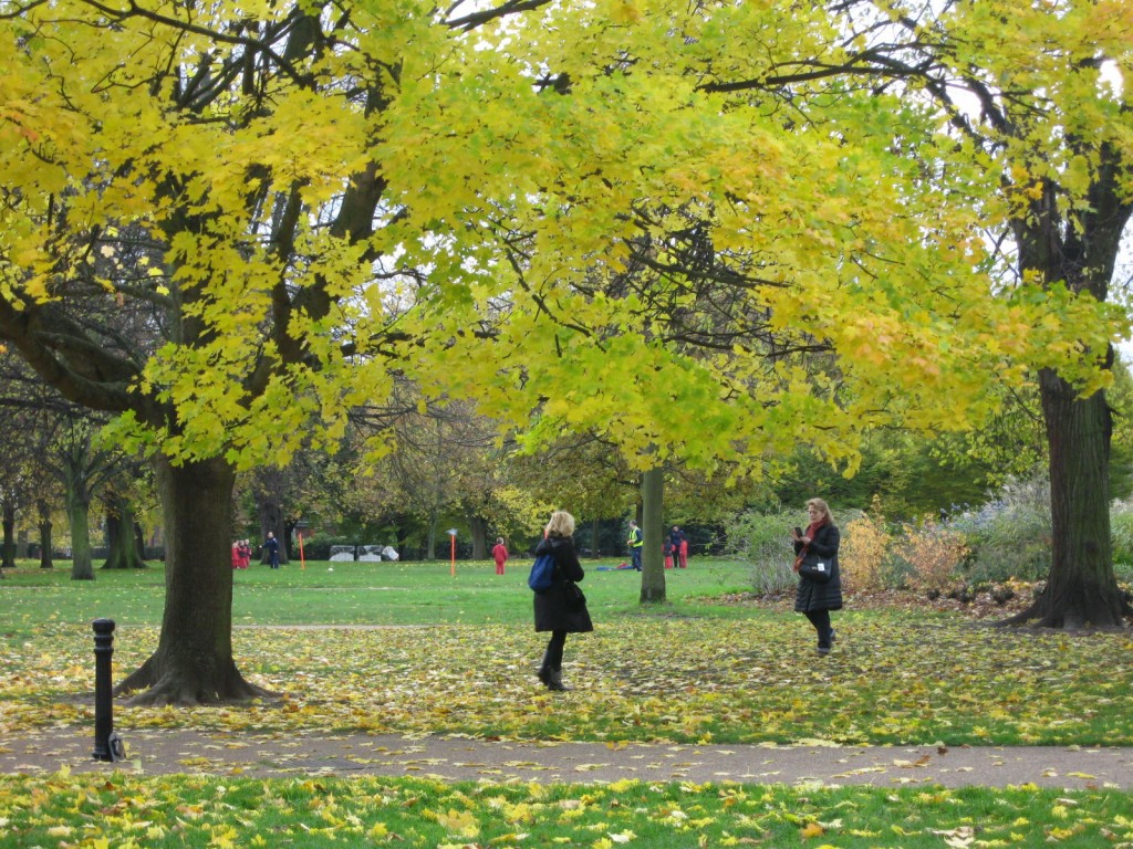 A friend captures the foliage and her friend in a photo, while a group of children practice their "football" (soccer in the US) in the background. Photo by me.