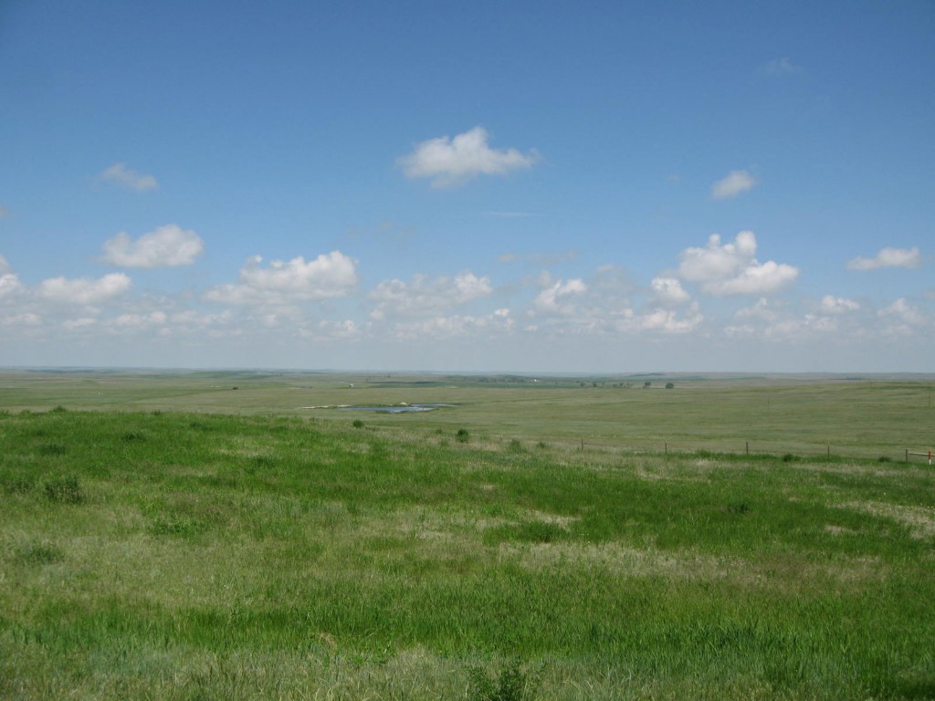 The Plains, grasslands of the midwest United States