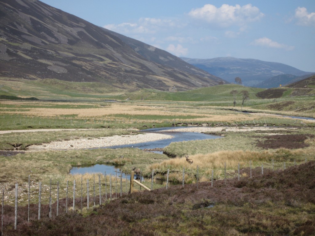 Scotland on the way to Balmoral