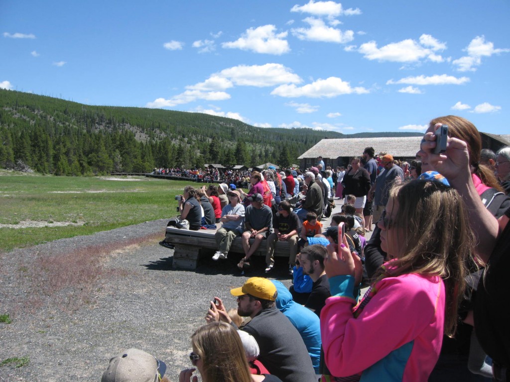 We were two among many waiting for Old Faithful to erupt in Yellowstone