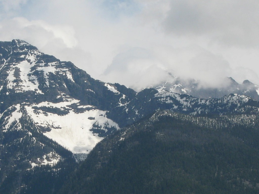 Near Lake McDonald at Glacier National Park in Montana.